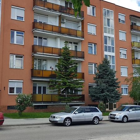 Veszprem Kucko Apartment Ngoại thất bức ảnh